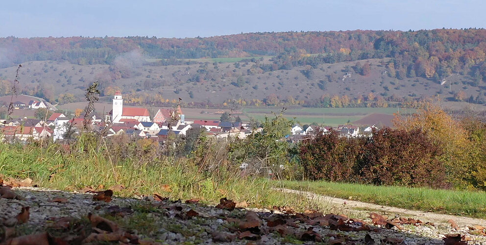 Wohnen in Dollnstein