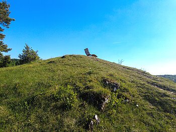 DCIM100MEDIADJI_0660.JPG