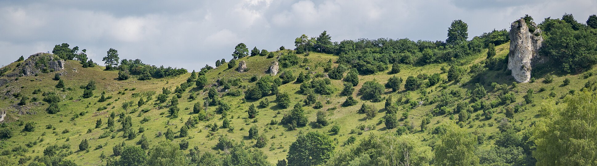 Hügelige Landschaft mit grünen Bäumen und Sträuchern, im Vordergrund ein Feld, bewölkter Himmel.