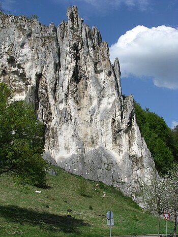 Felsformation mit steiler weiß-grauer Oberfläche, davor Wiese, Bäume und Verkehrsschilder bei blauem Himmel.