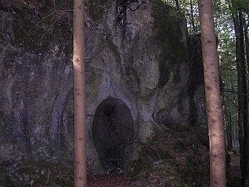 Felswand mit dunklem Höhleneingang im Wald, zwei Baumstämme im Vordergrund sichtbar.