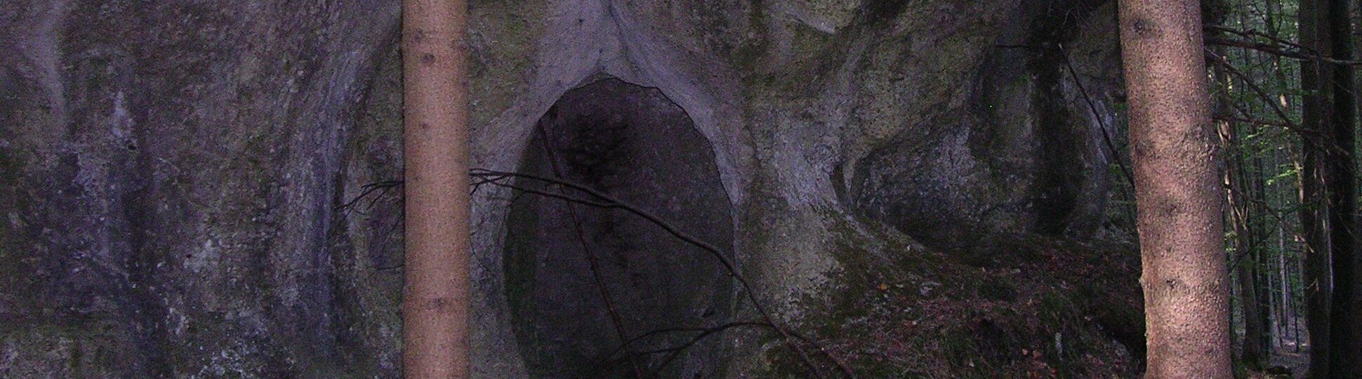 Felswand mit dunklem Höhleneingang im Wald, zwei Baumstämme im Vordergrund sichtbar.