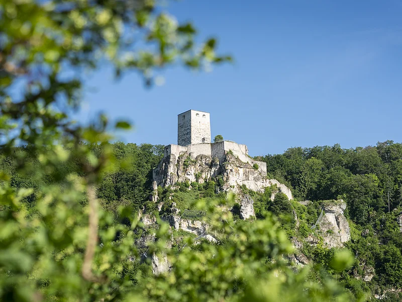 Burgruine Wellheim Burgruine auf einem bewaldeten Felsen unter blauem Himmel, im Vordergrund unscharfe grüne Blätter.