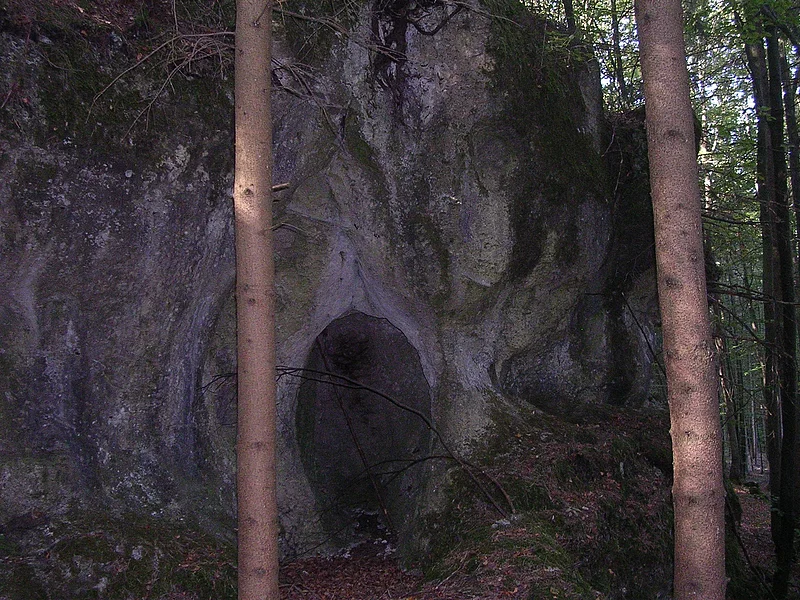 Die Lochschlaghöhle bei Obereichstätt Felswand mit dunklem Höhleneingang im Wald, zwei Baumstämme im Vordergrund sichtbar.