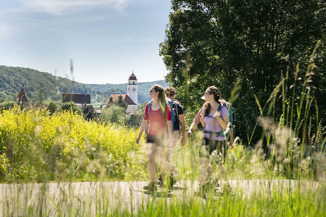 Drei Wanderer mit Rucksäcken auf Weg vor gelben Blumen und Dorf mit Kirchturm im Hintergrund