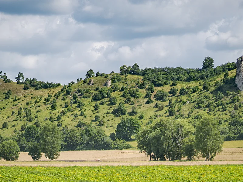 Urdonautal Hügelige Landschaft mit grünen Bäumen und Sträuchern, im Vordergrund ein Feld, bewölkter Himmel.