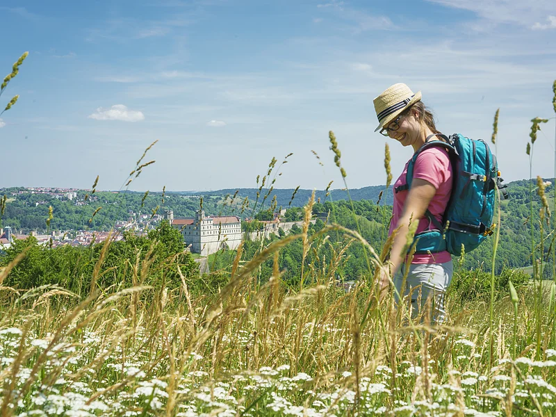 Wanderer auf dem Altmühltal-Panoramaweg bei Eichstätt Eine Wanderin im pinken Shirt mit Strohhut und Wanderrucksack ist auf dem Altmühltal-Panoramaweg unterwegs. Gegenüber trohnt die Willibaldsburg umgeben von Häusern und Wäldern.