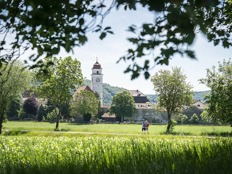 Der Altmühltal-Panoramaweg bei Dollnstein Zwei Personen gehen auf einem Weg durch eine grüne Wiese, im Hintergrund ein Kirchturm und Bäume.