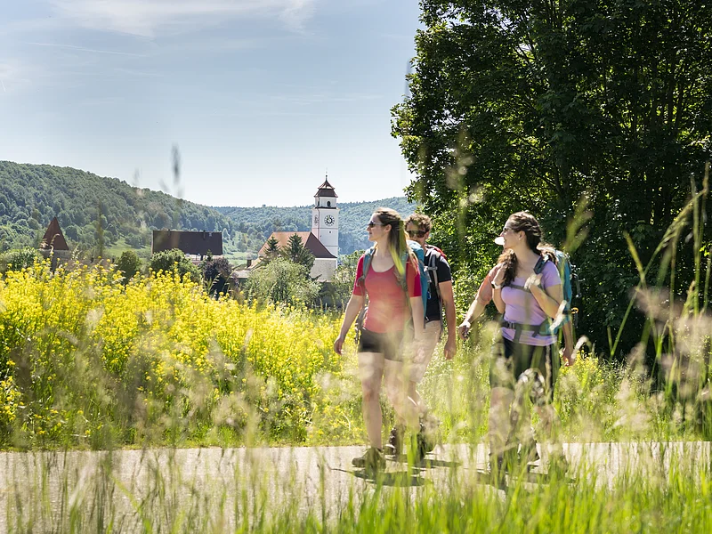 Drei Wanderer mit Rucksäcken auf Weg vor gelben Blumen und Dorf mit Kirchturm im Hintergrund