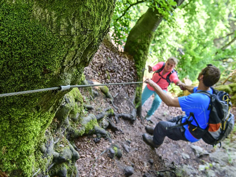 Zwei Wanderer sichern sich mit Seil an einem moosbewachsenen Baum im Wald beim Klettern.