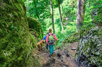Jägersteig bei Dollnstein Jägersteig bei Dollnstein